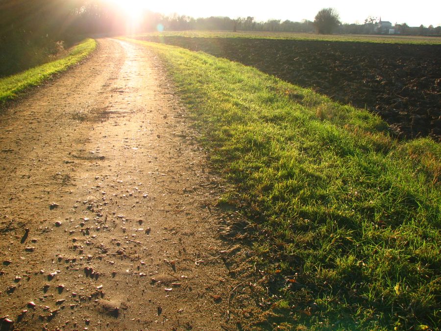 Le chemin